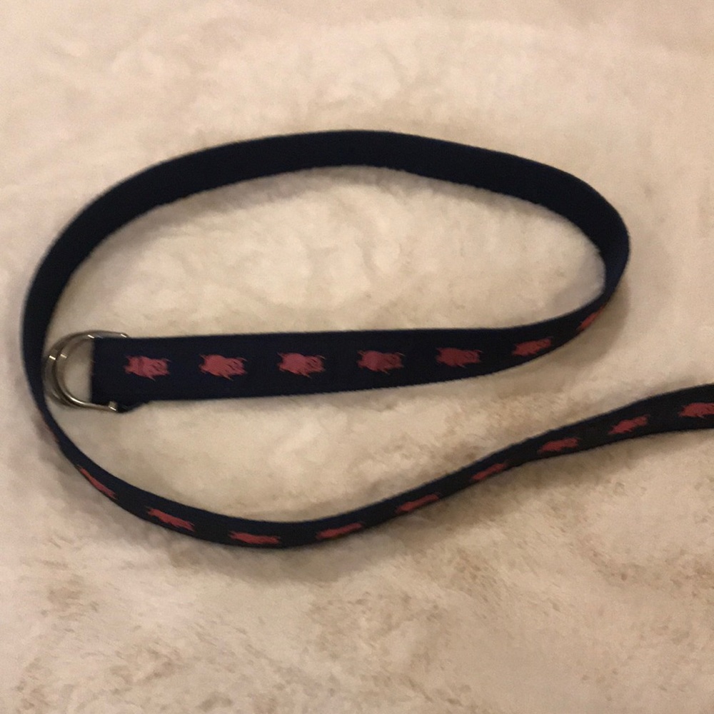 Pig Belt